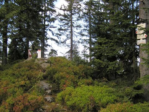 Foto 22